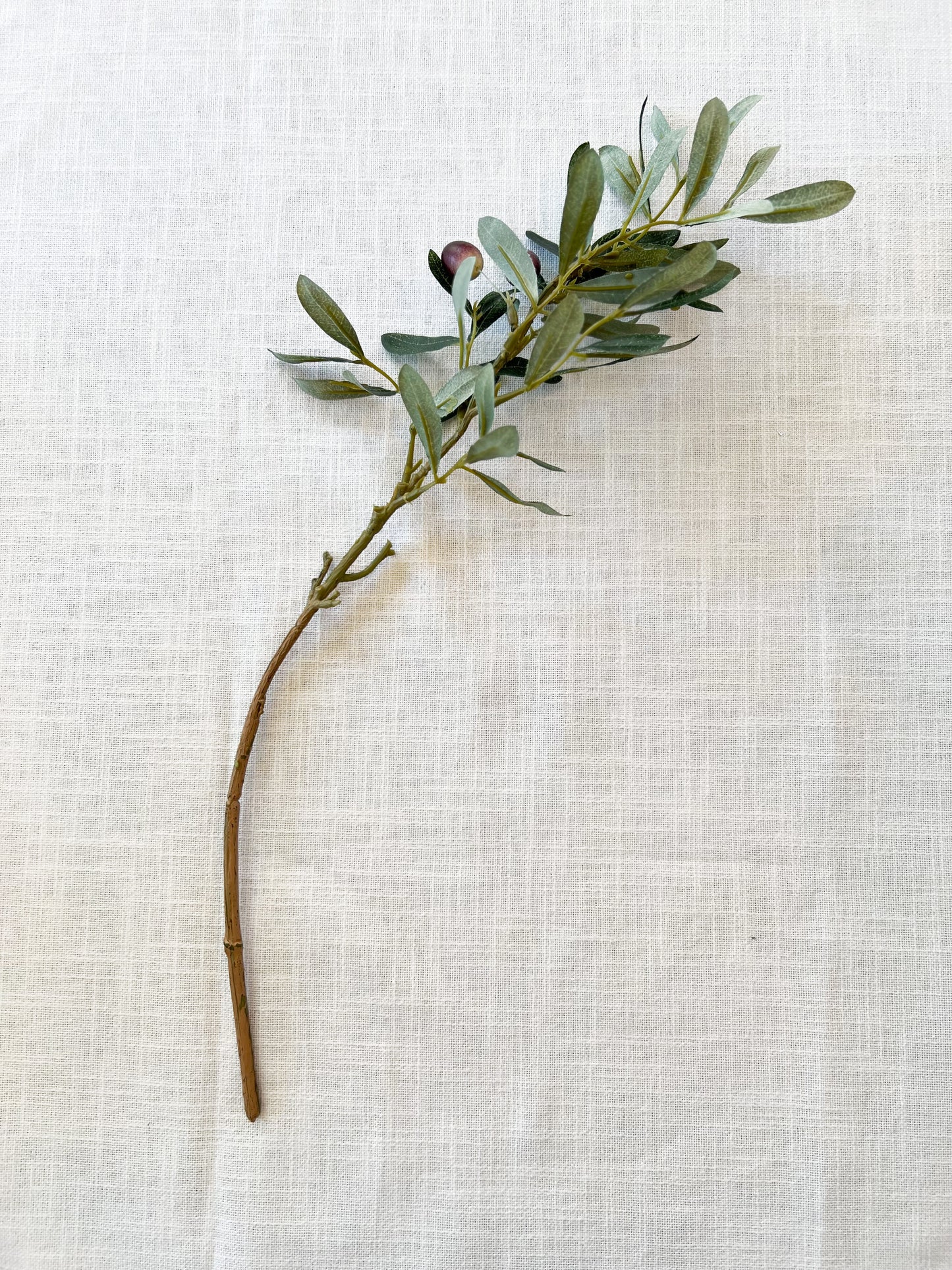 Spanish Olive Cutting